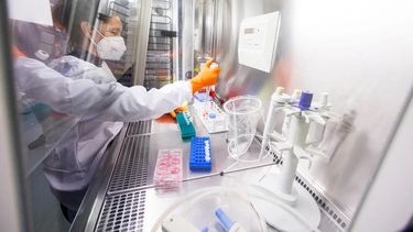 Los casos de viruela símica en la Argentina han vuelto a encender las alarmas. En San Juan no hay ninguno confirmado.