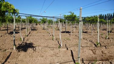 Capacitación sobre riego a productores en 9 de Julio