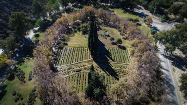 Video: un tesoro cultural y natural que enorgullece a Rivadavia
