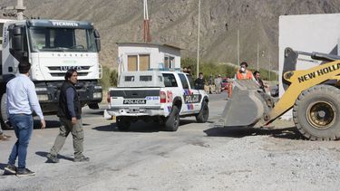 Ataque de una jauría: calculan que hay cerca de 50 perros en la planta y dicen que llegan en camiones municipales