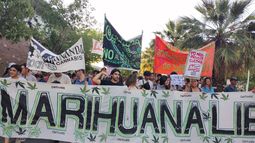 San Juan marchó por la marihuana libre y por la liberación de los presos por cultivar