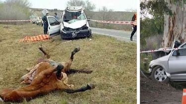 Muertos en tránsito: ¿en qué lugar está San Juan?