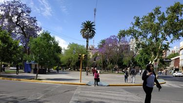 Susto en la Plaza 25 por una mujer que se descompensó