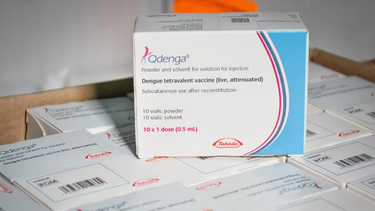 Llegaron las vacunas contra el dengue que compró el Gobierno de la provincia para la campaña que se ofrecerá de modo gratuito.