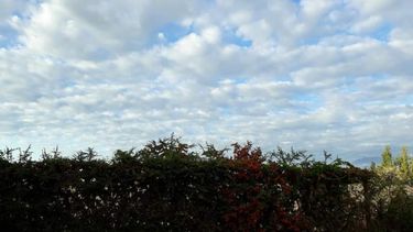 Domingo de elecciones: temperatura agradable, ¿con lluvia?