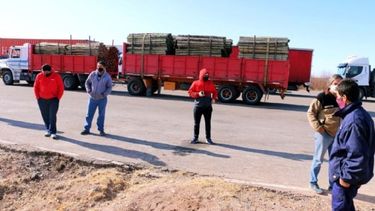 San Juan detectó dos positivos en no residentes y esperan el test de un calero local