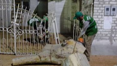 Ocho de cada 10 reclamos por el ventarrón en Capital se resolvieron en el día