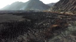 Alerta y prevención en el Parque Sarmiento por el viento Zonda tras los incendios