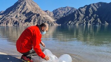 Atención pescadores: comenzó la siembra de pejerrey