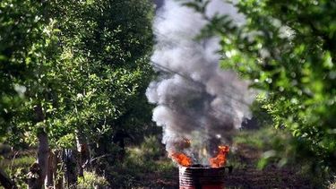 Ambiente labró 15 multas por quema de cubiertas