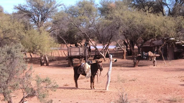 Una escuelita de una zona remota de 25 de Mayo organiza una colecta para reunir agua potable