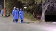 identificaron al motociclista que choco de atras a otra moto, golpeo contra un arbol y murio identificaron al motociclista que choco de atras a otra moto, golpeo contra un arbol y murio