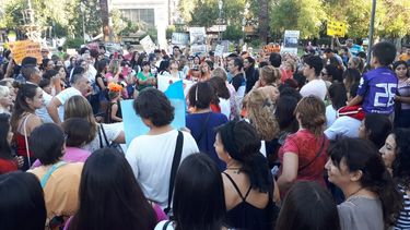 Con pañuelo negro, proteccionistas sanjuaninos marcharon contra el maltrato animal