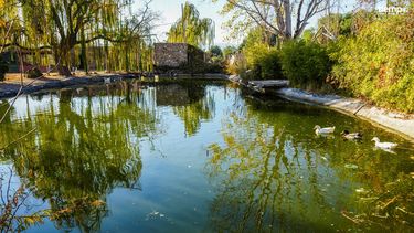 Tiempo recorre Albardón: tres propuestas imperdibles para disfrutar del receso invernal