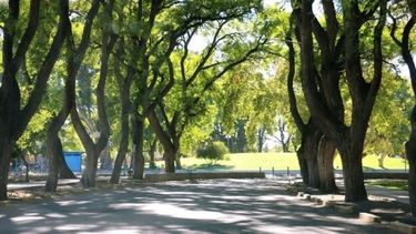 Como si fuera verano: en el primer día de la primavera, San Juan fue la más calurosa del país