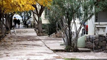 Hoy y mañana, abordaje integral en el Hospital Mental de Zonda