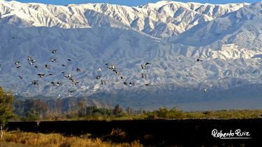 El regalo de la ola polar