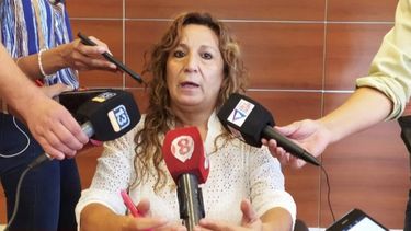 Dengue en San Juan: tres casos confirmados y 12 en análisis