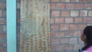 Conmoción en Chimbas por la aparición de una virgen en una madera