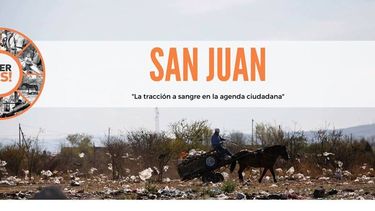 Harán un foro para concientizar sobre la tracción a sangre