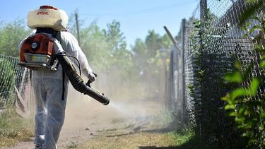 Hay un segundo caso sospechoso de dengue en San JuanCaso sospechoso de dengue en San Juan: la paciente está aislada