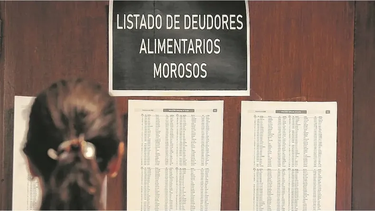 Deudores alimentarios en San Juan: de 489 personas registradas, solo 4 son mujeres