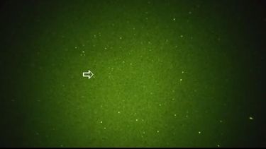 ¿Ahora apareció un OVNI en Pocito? Mirá el vídeo