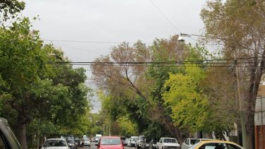 Máxima de 25º con probables lluvias por la mañana