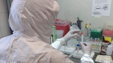 Ya se hicieron alrededor de 500 test de coronavirus en el laboratorio del Hospital Rawson