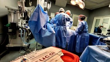 Este viernes se conmemora el Día Mundial del Trasplante de Órganos.