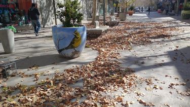 El Viento Zonda sigue vigente para este domingo: hay ‘alerta amarilla’