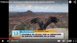 Estalló la polémica en Jáchal por la liberación de nuevos cóndores en la zona