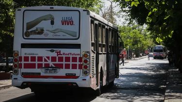 Paro de colectivos pactado para el próximo 24 de enero.