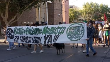 La marea verde se volcó a las calles de San Juan: Aborto legal en el hospital