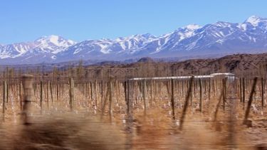 Emiten alerta por viento Zonda