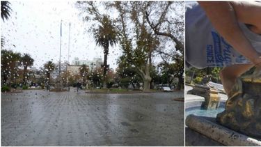 Entre la lluvia y el sol, así será el tiempo para este fin de semana