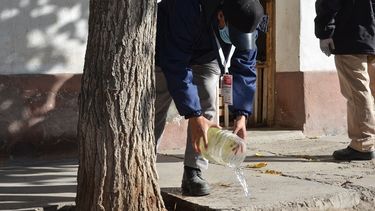 A pesar del frío, el dengue sigue activo en San Juan: el dato que podría cambiarlo todo en los próximos días