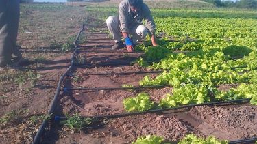 Capacitación sobre riego en 25 de Mayo