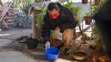 Insisten en la importancia del descacharreo para evitar la proliferación del mosquito del dengue