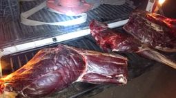 Salvaron 18 aves de cazadores, pero no lo lograron con un guanaco