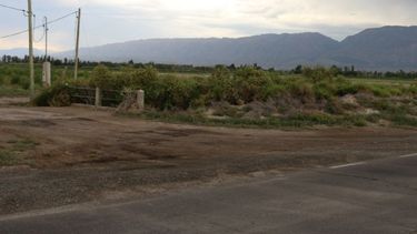 La UTE Jaime - SAT comenzó la construcción del matadero provincial
