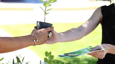 La Pachamama será honrada en San Martín con una actividad que apunta al cuidado de la tierra