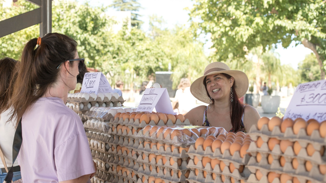 Noviembre arranca con dos ediciones itinerantes de la Feria Agroproductiva.