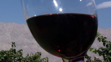 Mirá todo lo que preparó Pocito para estas vacaciones de invierno