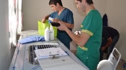 Esterilizarán los perros del barrio más grande de la provincia