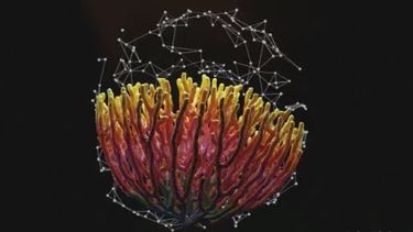 La Fiesta Nacional del Sol contará con una fuerte impronta musical.