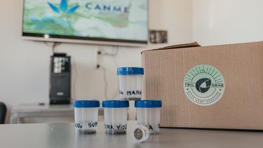 San Juan entregó las primeras semillas para la investigación de cannabis medicinal