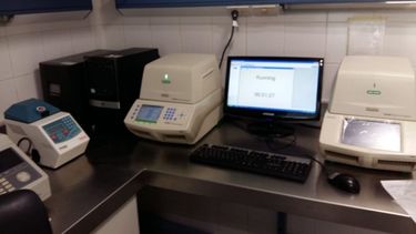 San Juan sumó equipamiento y duplicó su capacidad para realizar diagnósticos de COVID-19