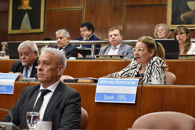 Los diputados del PJ de San Juan sesionaron con carteles en defensa de Cristina Fernández