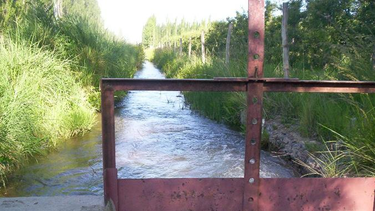 Desde mañana y hasta el lunes inclusive se cortará el agua en el canal Céspedes por reparaciones.